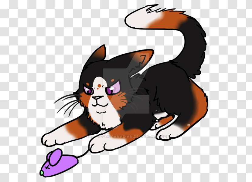 Whiskers Kitten Cat Dog Clip Art - Cartoon Transparent PNG