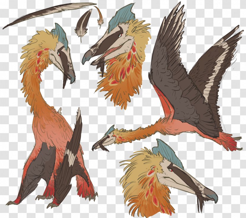 Beak Fauna Feather - Dragon Transparent PNG