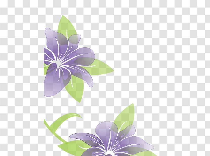 Funeral Flower Desktop Wallpaper Clip Art - Flowering Plant Transparent PNG