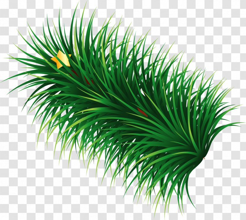 Hand Painted Green Grass Star - Tree - Palm Transparent PNG