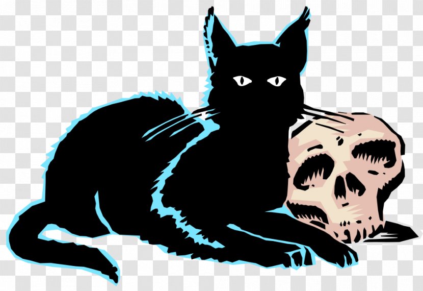 Whiskers Black Cat Kitten Clip Art - Vertebrate Transparent PNG