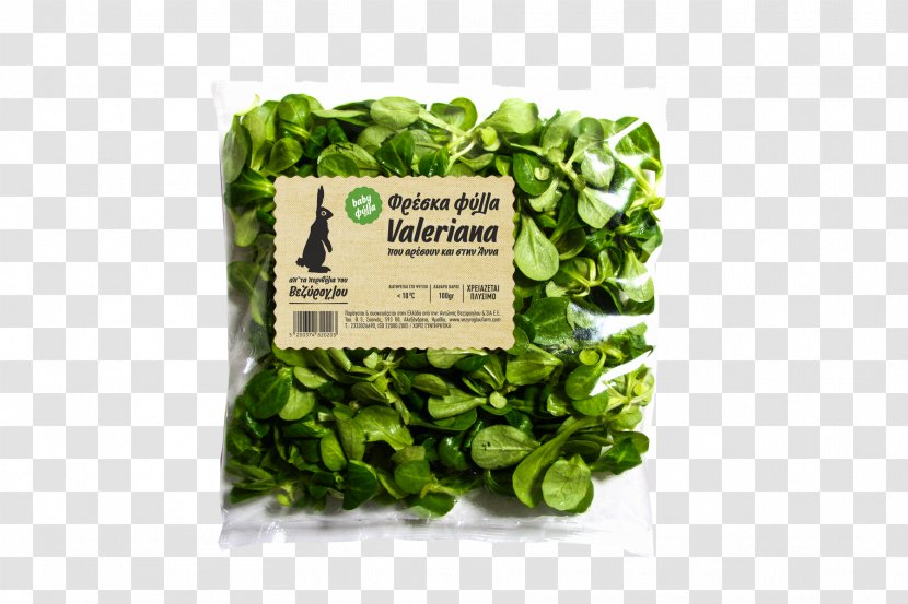 Veziroglou, A., & SIA E.E. Spring Greens Leaf Vegetable Salad Spinach - Vegetarian Food - Watercolor Lettuce Transparent PNG