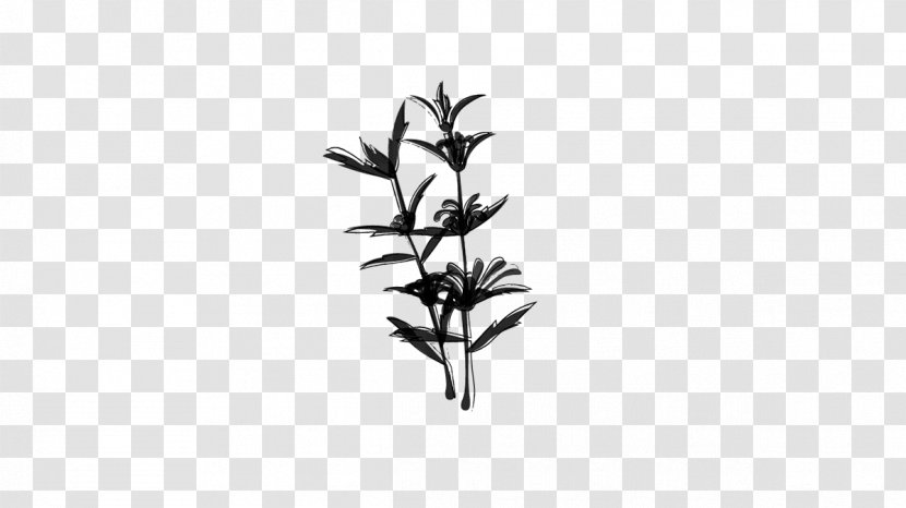 Twig Plant Stem Flower Leaf Line - Blackandwhite - Grass Transparent PNG