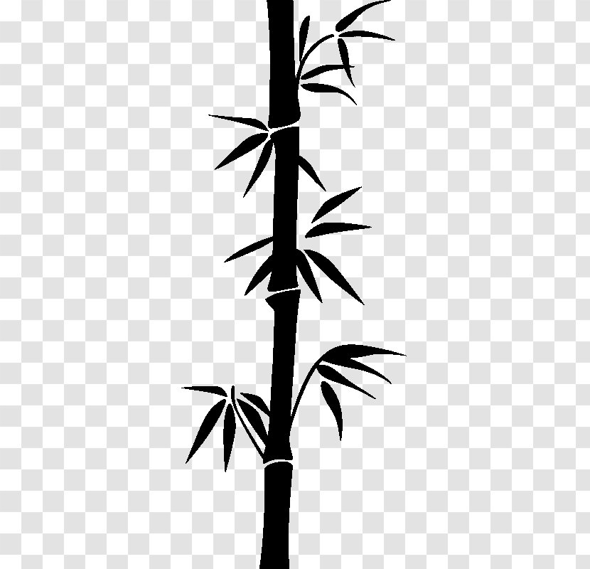 Bamboo Clip Art - Flora Transparent PNG