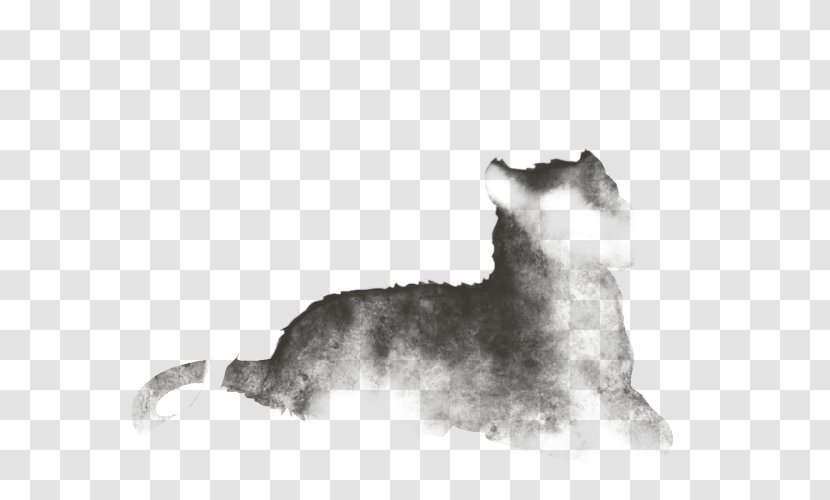 Miniature Schnauzer Cat Standard Dog Breed Puppy - Crossbreeds - Fuzzy Light Transparent PNG