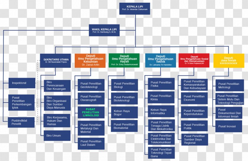 Indonesian Institute Of Sciences Organization Structure Research - Diagram - Science Transparent PNG