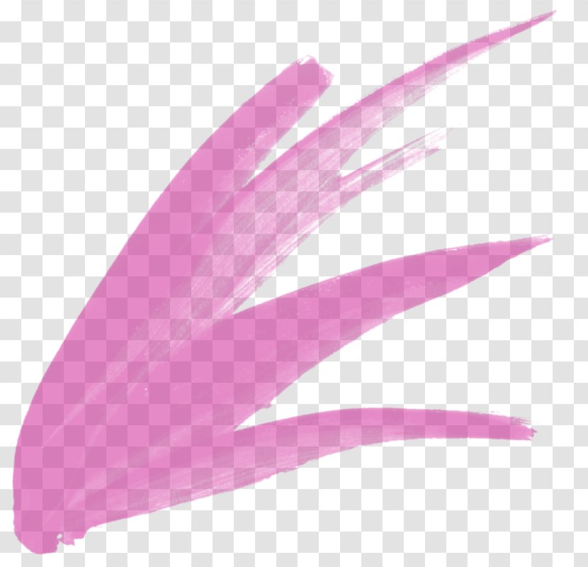 Pink M Feather RTV - Magenta Transparent PNG
