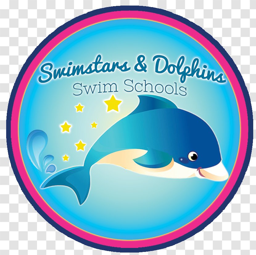 Swimstars & Dolphins @ Hall Cross Academy Swimming Lessons Child - Bank Holiday Transparent PNG