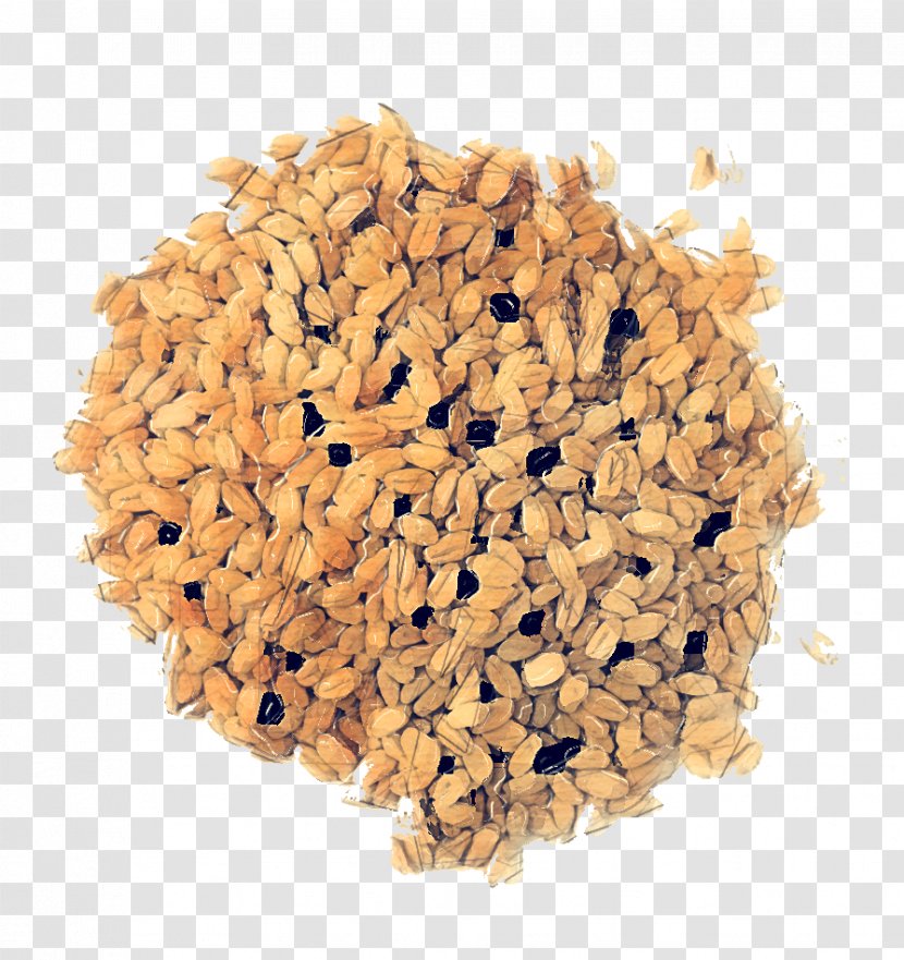 Forestry Wood Price Pellet Fuel - Cereal Germ - Groat Ingredient Transparent PNG