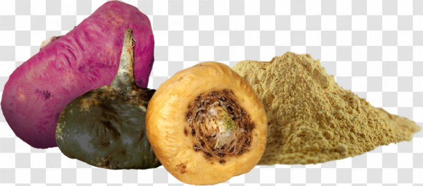 Dietary Supplement Juice Maca Vegetable Food - Veganism - Peruvian Transparent PNG