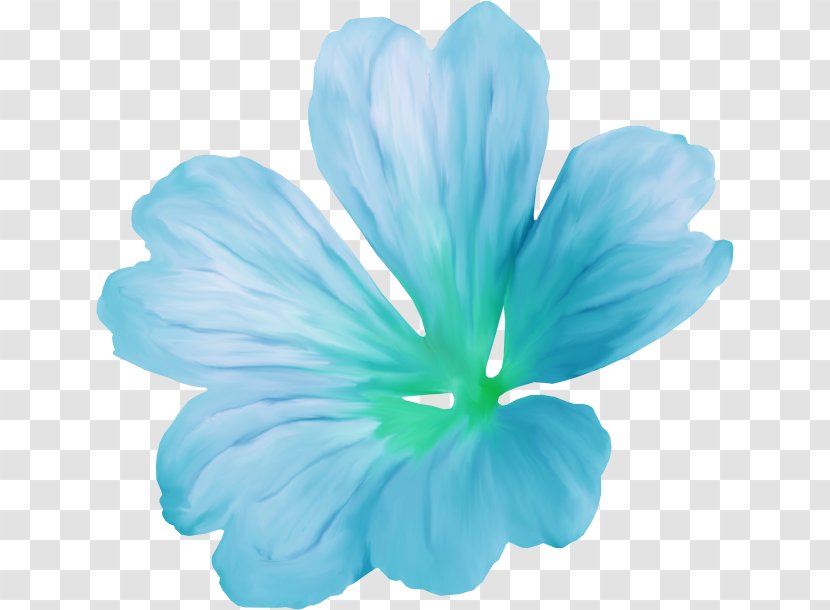 Hibiscus Petal Flower Blog - Turquoise - Plant Transparent PNG