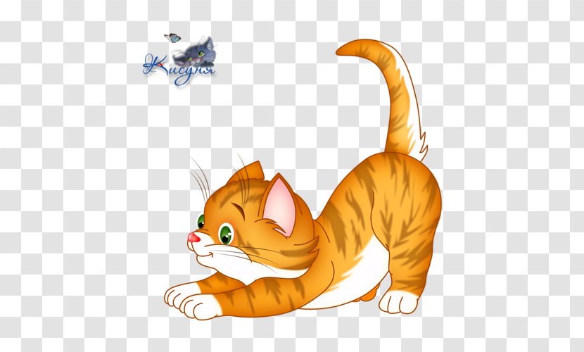 Kitten Tabby Cat Whiskers Wildcat Clip Art - Like Mammal Transparent PNG