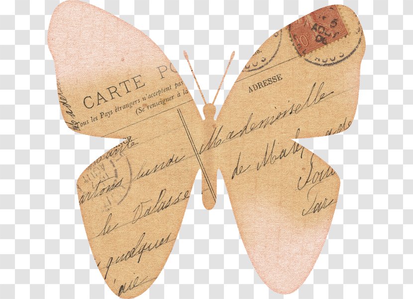 Web Page Moth - Pollinator - Vintage Sea Transparent PNG