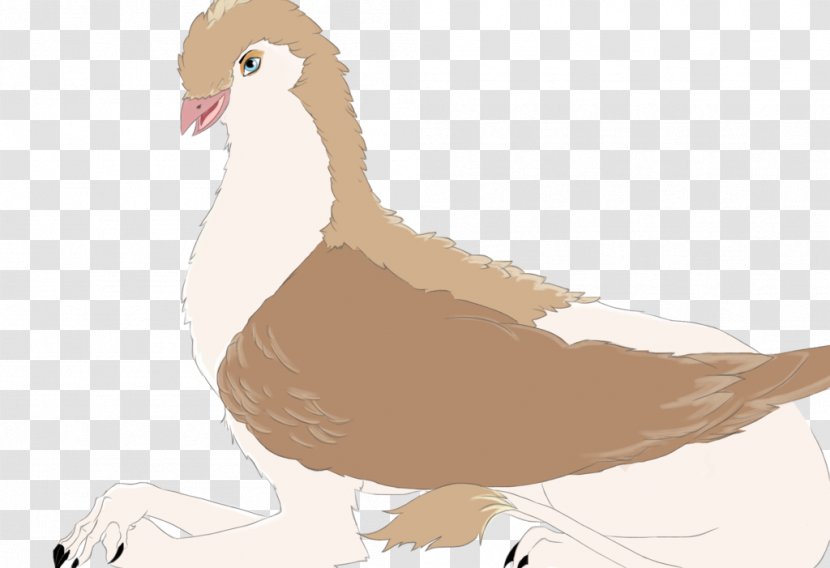 Duck Goose Feather Beak - Poultry Transparent PNG