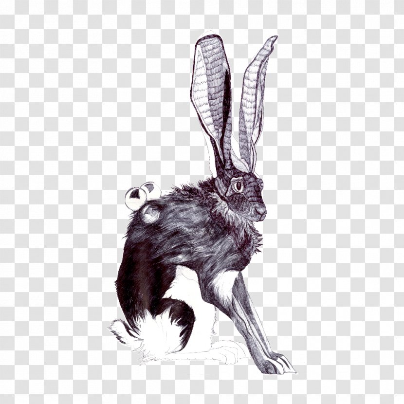 Domestic Rabbit Abziehtattoo Hare - Mammal Transparent PNG