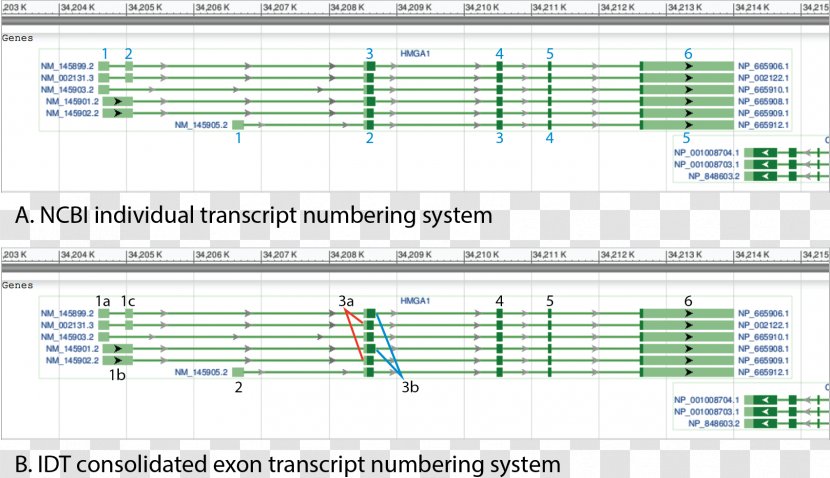 Computer Program Line Engineering Angle Screenshot - Frame Transparent PNG