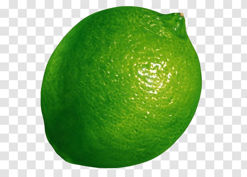 Lemon Berry Key Lime Fruit - Attractive Transparent PNG