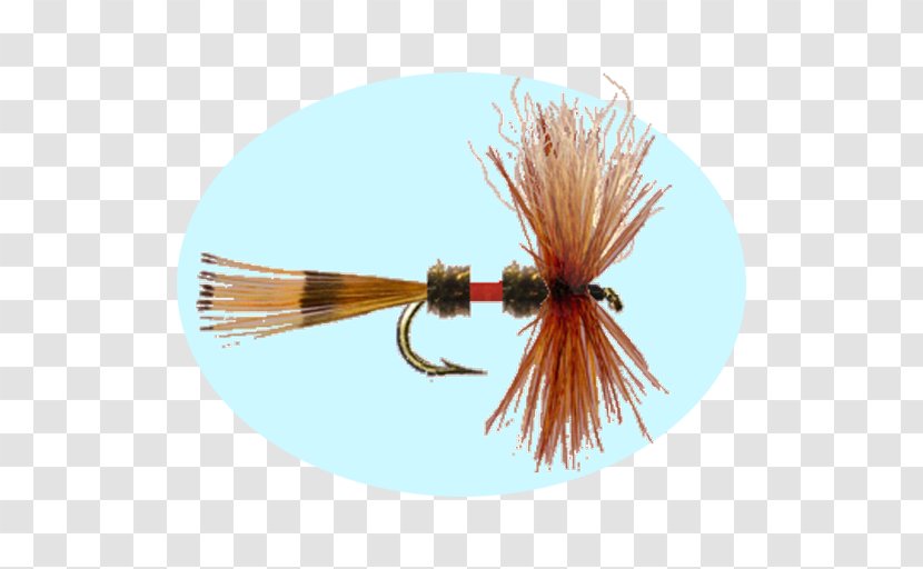Insect Artificial Fly - Fishing Bait - Tying Transparent PNG
