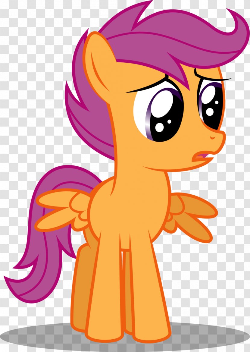 My Little Pony Rainbow Dash Scootaloo Babs Seed - Frame Transparent PNG