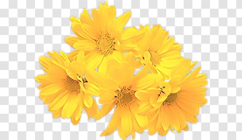 Flower Yellow English Marigold Flowering Plant - Gerbera Daisy Family Transparent PNG
