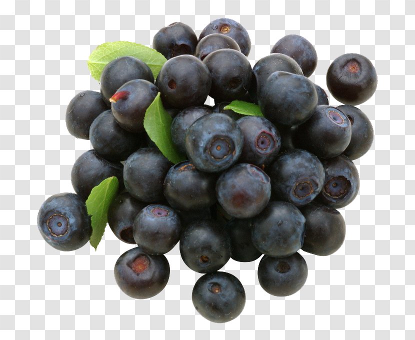 European Blueberry Fruit - Varenye - Photos Transparent PNG