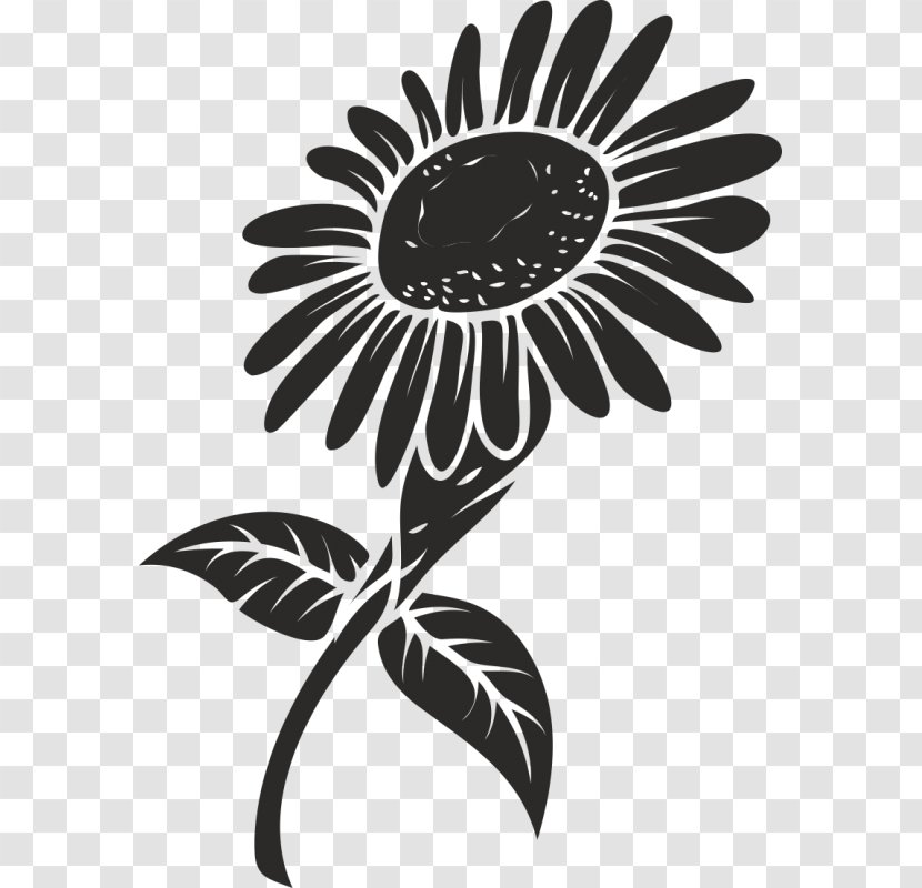 Vector Graphics Royalty-free Image Common Sunflower Clip Art - Flower Transparent PNG