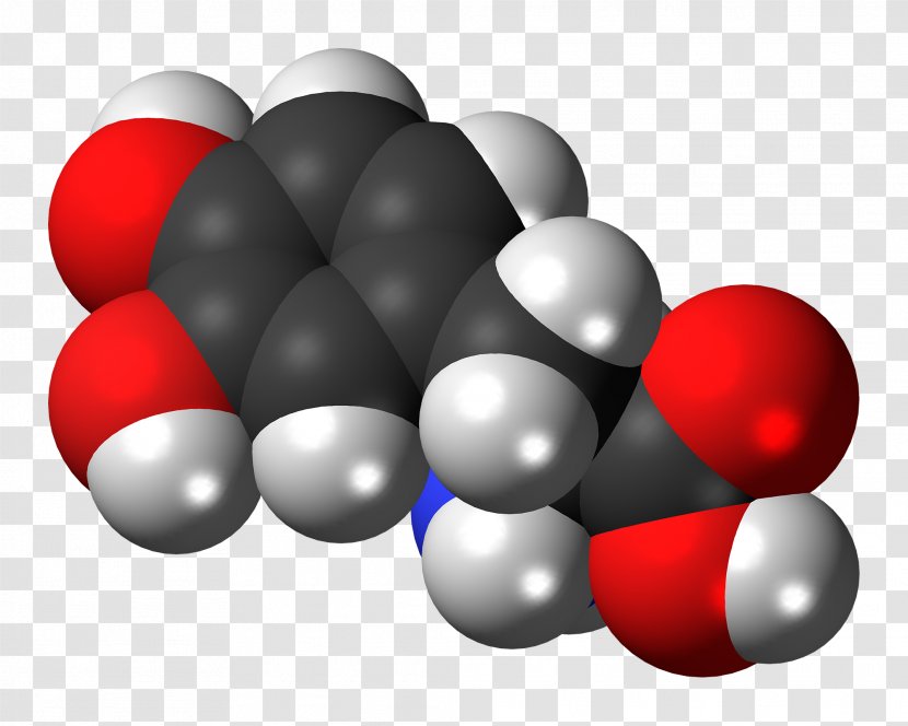 Levodopa Wikimedia Commons Dietary Supplement Foundation Isomer - Ddopa - Space Review Transparent PNG