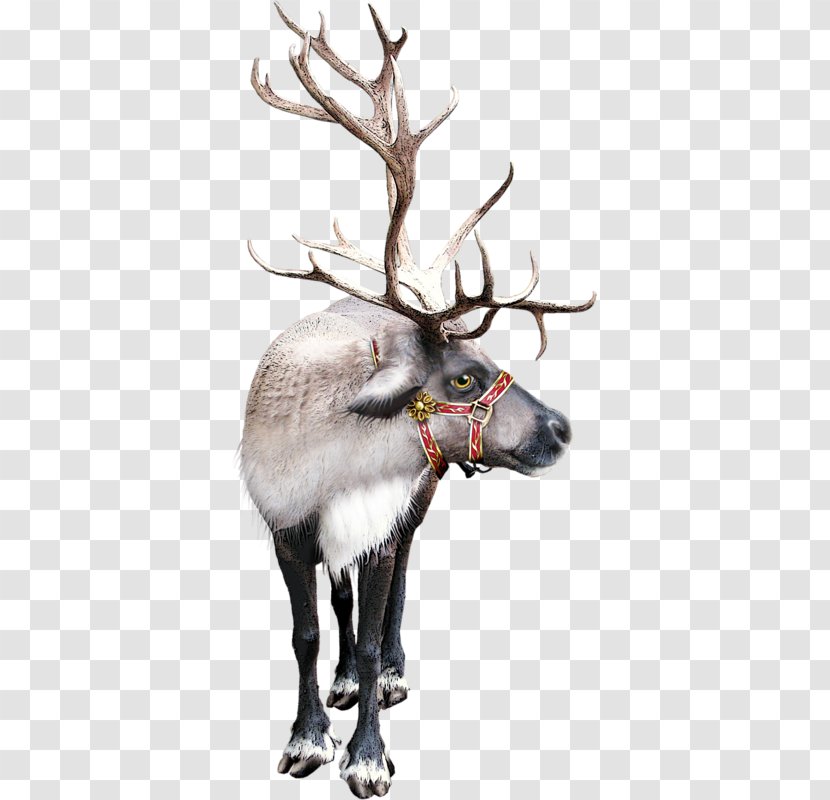 Reindeer Santa Claus Clip Art Christmas Day Vintage - Melody Anderson Transparent PNG