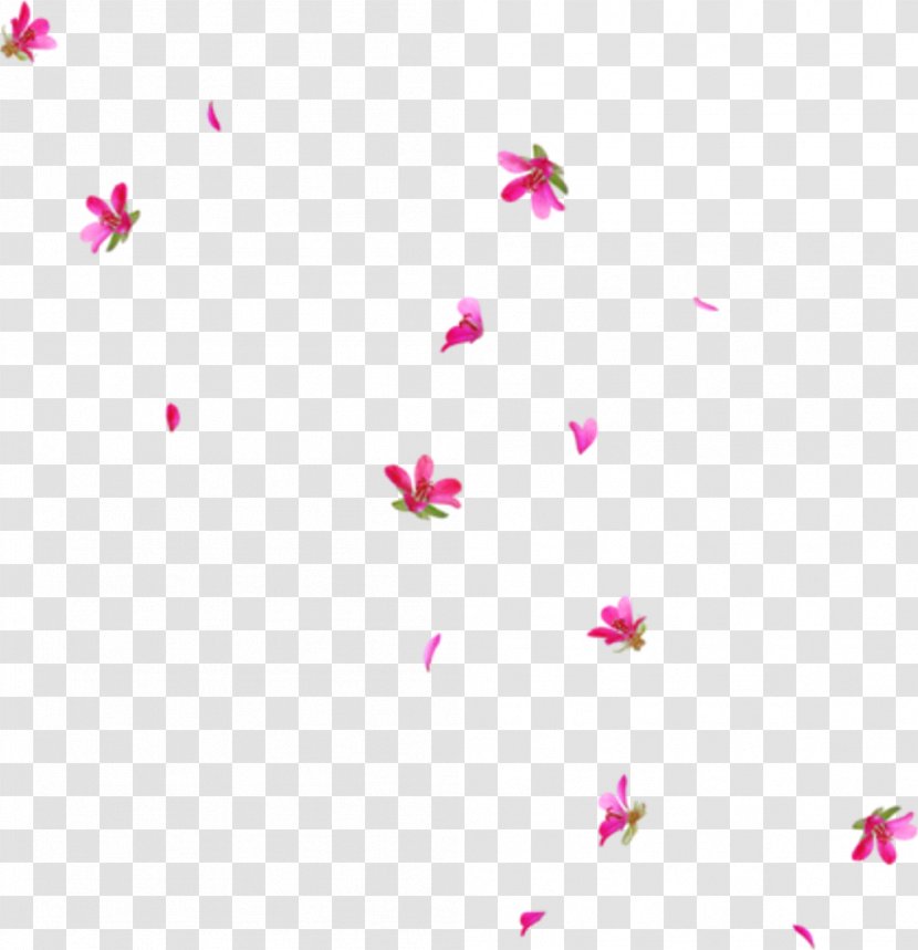 Clip Art Flower Vector Graphics Desktop Wallpaper - Cherry Blossom Transparent PNG