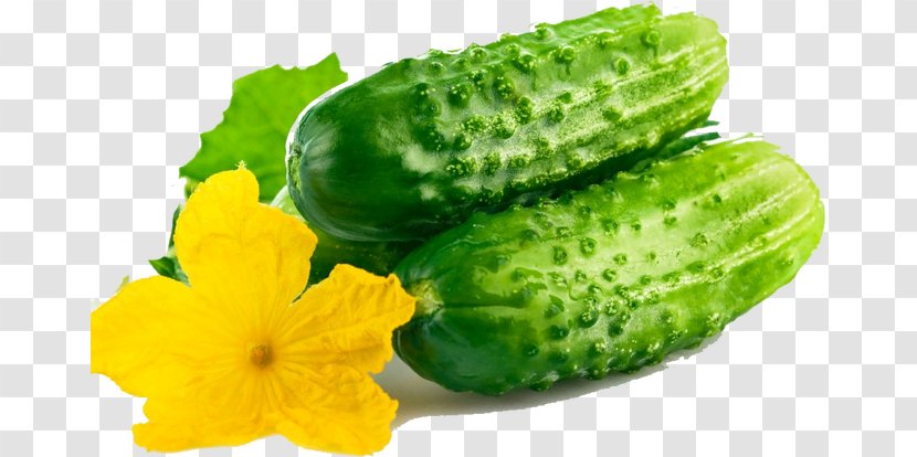Pickled Cucumber Rassolnik Mixed Pickle Olivier Salad - Fruit Transparent PNG