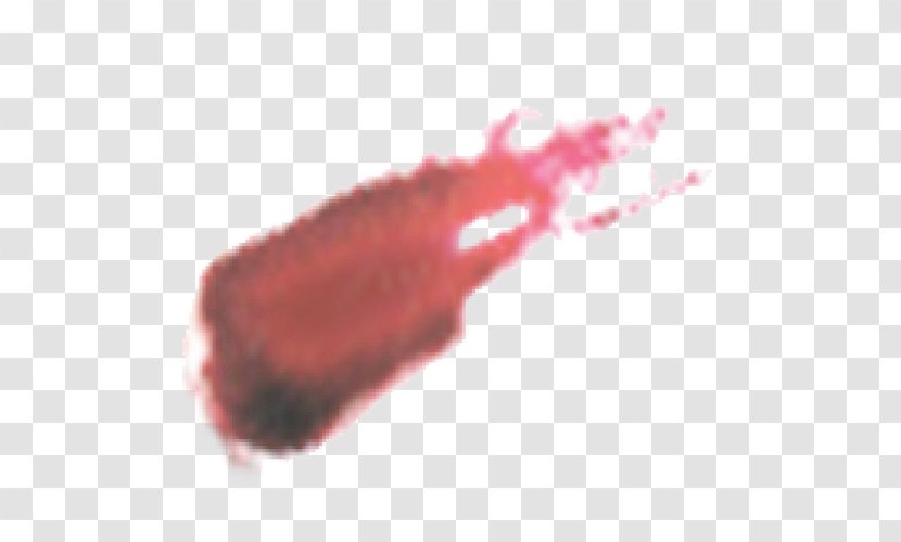 Close-up Lip Organism - Red Transparent PNG