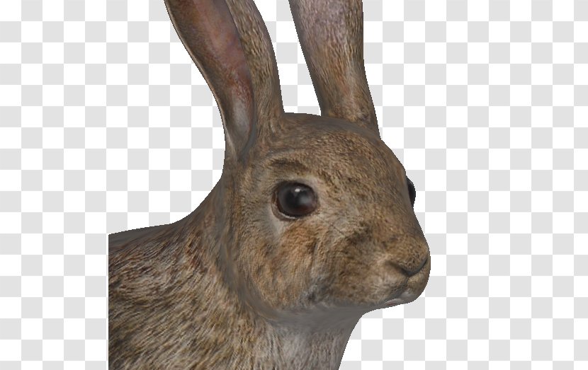 European Rabbit Hare TheHunter Burrow - Watercolor Transparent PNG