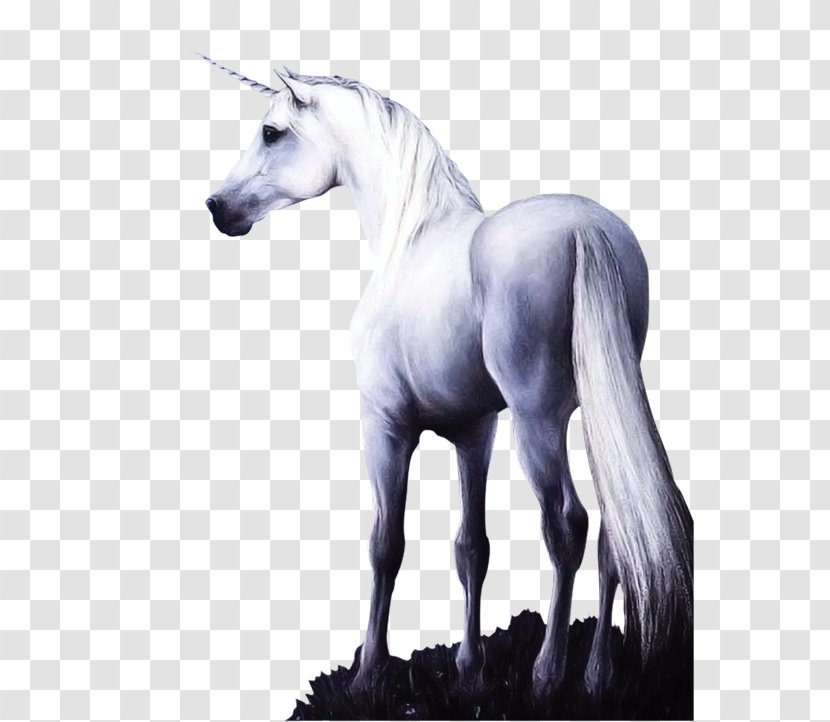 Horse Unicorn - Fictional Character - Stone Sculpture Transparent PNG