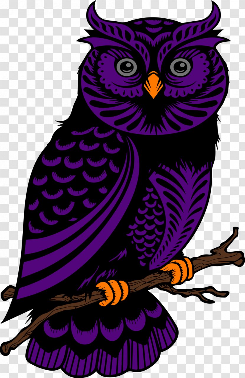 Owl Drawing Silhouette - Bird Of Prey Transparent PNG