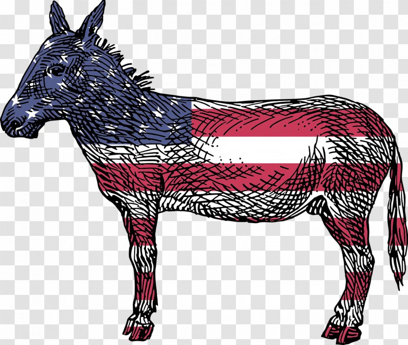 Reasons To Vote For Democrats: A Comprehensive Guide United States Amazon.com Democratic Party Book - Horse - Donkey Transparent PNG