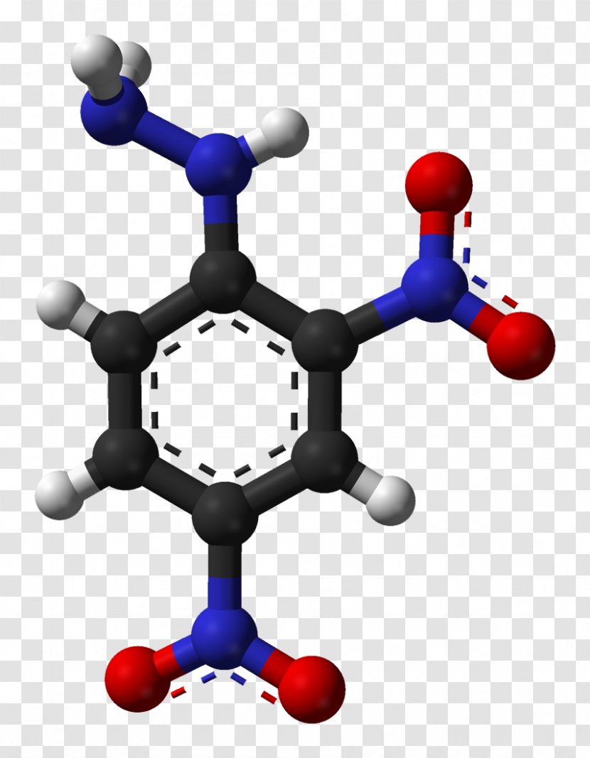 2,4-Dinitrophenylhydrazine Chemical Compound Formula Molecule Benzocaine - Tree - X Ray Transparent PNG
