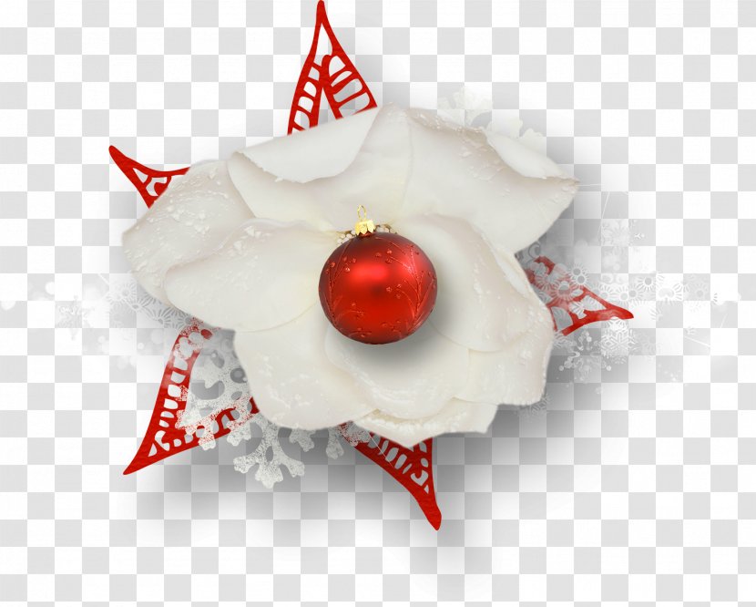 Christmas Ornament Close-up - Chilli Transparent PNG