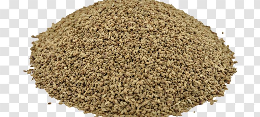 Ajwain Spice Herb Cultivator Natural Products Pvt. Ltd. Carminative - Seed - Pvt Ltd Transparent PNG