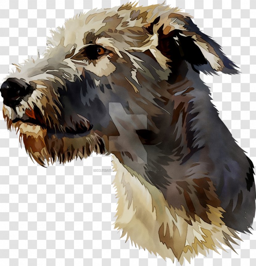 Dog Breed Terrier Snout - Canidae Transparent PNG