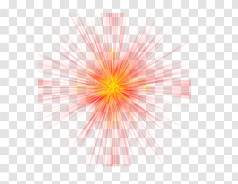 Fireworks - Sky - Flower Transparent PNG