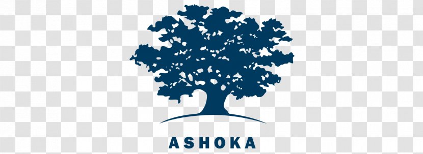 Ashoka: Innovators For The Public Organization Entrepreneurship Innovation Non-profit Organisation - Venture Capital - Ashoka Transparent PNG