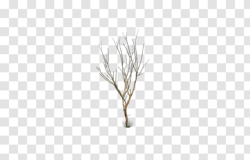 Tree Leaf Trunk - White - Creative Winter Without Leaves Withered Transparent PNG