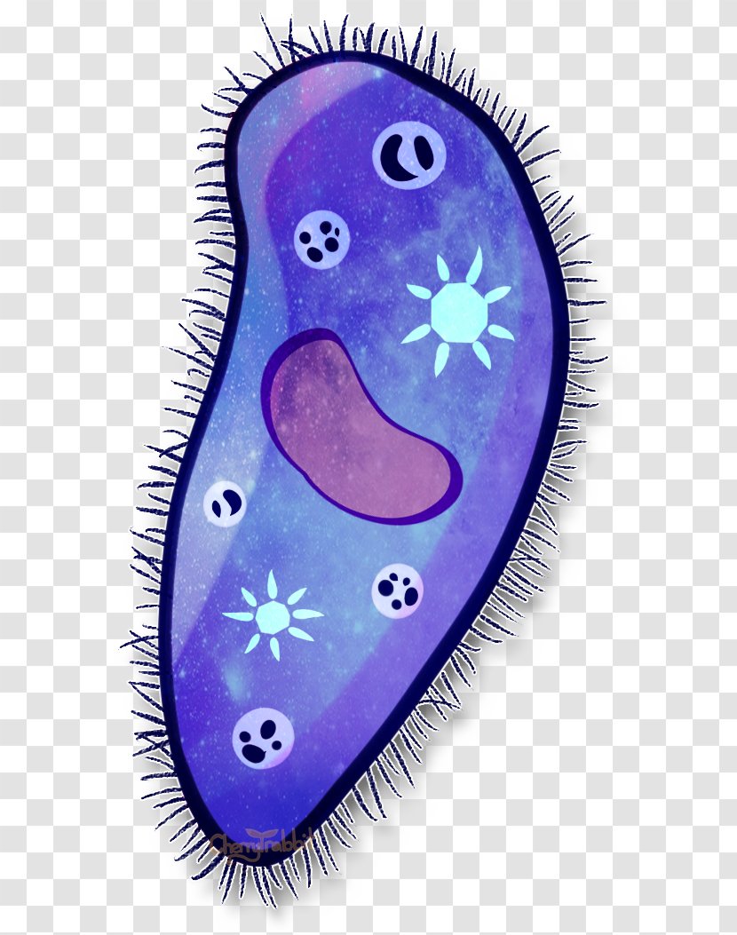 Paramecium Drawing Cell Painting Amoeba - Purple - Bursaria Transparent PNG