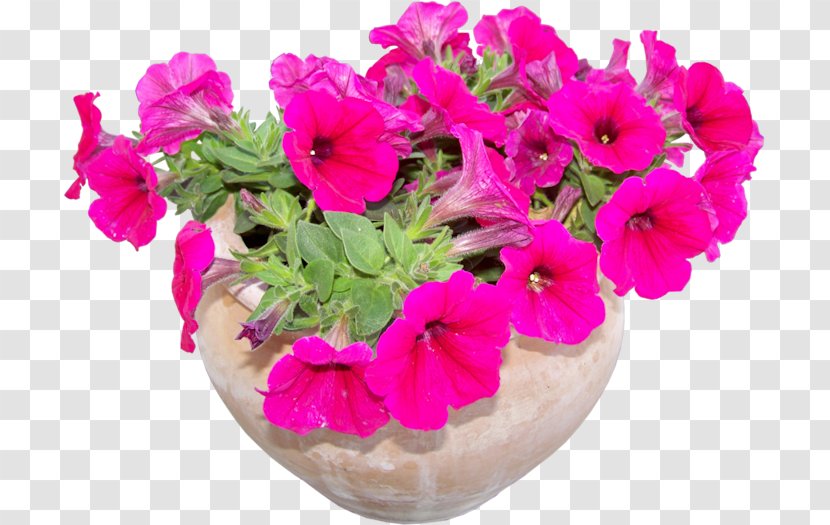 Floral Design Flowerpot Plant Cut Flowers - Botany - Flower Transparent PNG