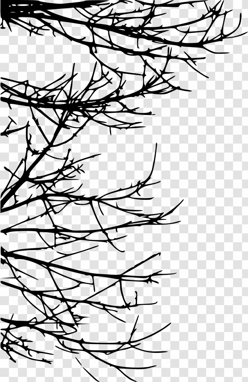 Branch Tree Twig Silhouette Drawing - Area - Transparent Transparent PNG