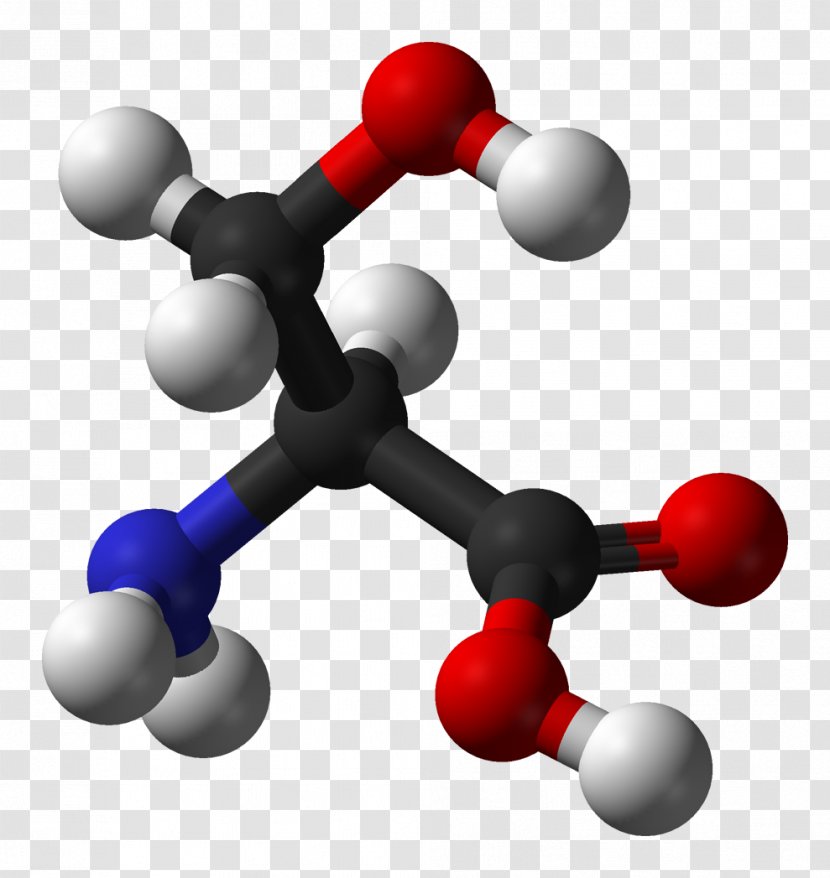 Cysteine Metabolism Amino Acid Sulfinic Acetylcysteine - Jmol Transparent PNG