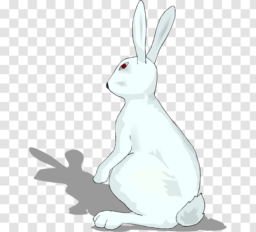 Domestic Rabbit Easter Bunny Hare Wildlife - White - Images Transparent PNG