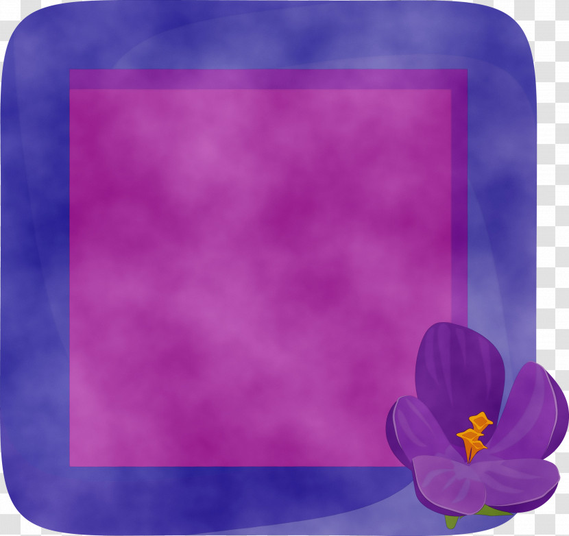 Picture Frame Transparent PNG