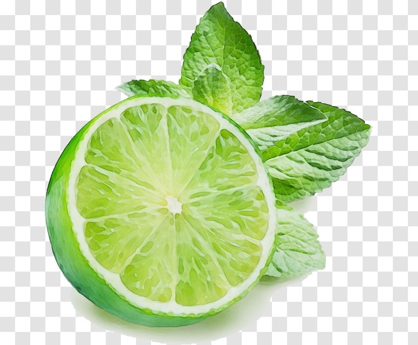 Lime Key Leaf Plant Persian - Lemon - Fruit Transparent PNG
