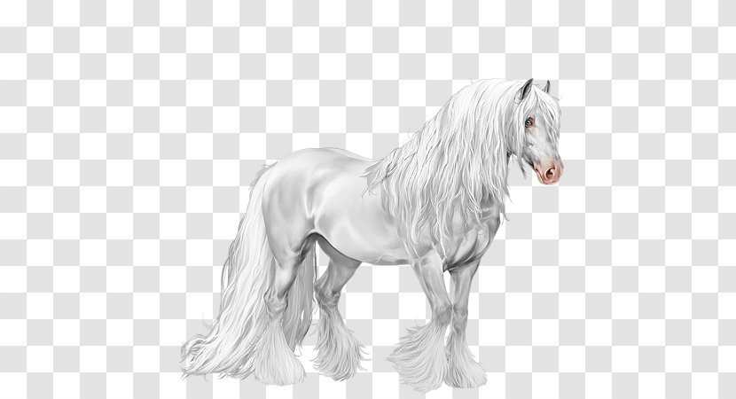 Mustang Foal Stallion Pony Halter - Liverpool Fc - Gypsy Horse Transparent PNG